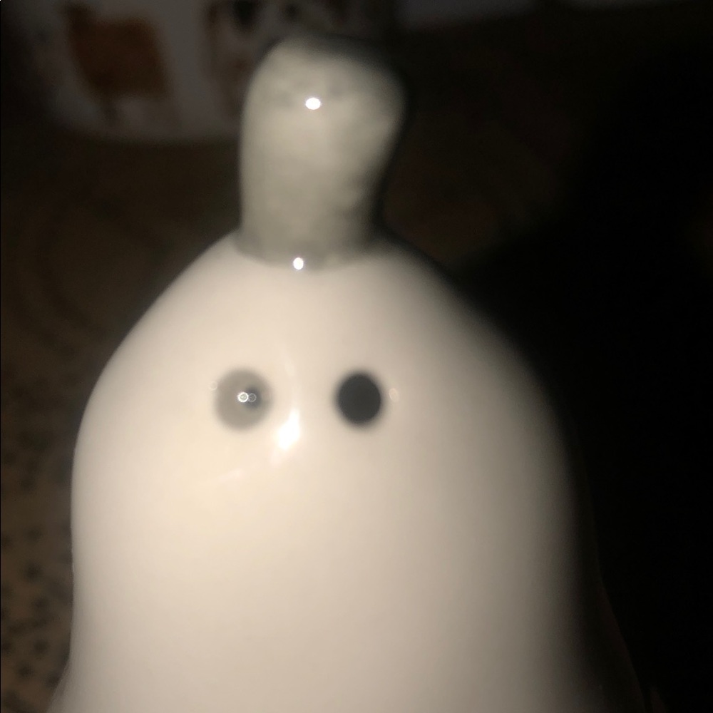 Rae Dunn Pear Shaped Salt and Pepper Shakers - Picture 6 of 8